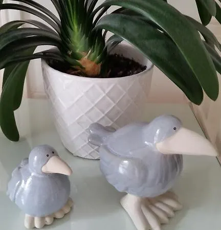 Bed & Breakfast No.5 Kilcullen