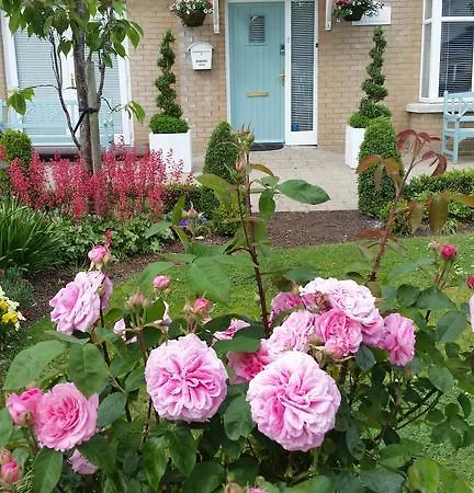 Bed & Breakfast No.5 *