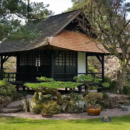 Bed & Breakfast No.5