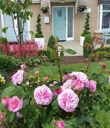 Bed & Breakfast No.5 *