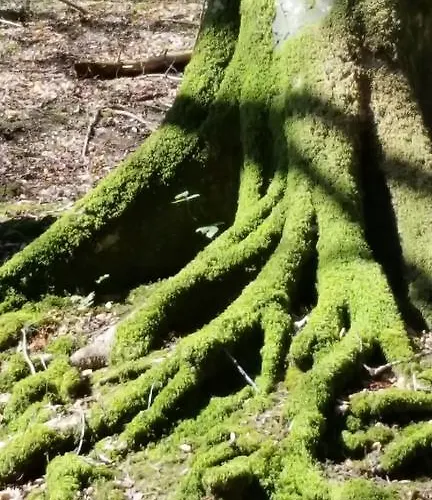 Bed & Breakfast No.5