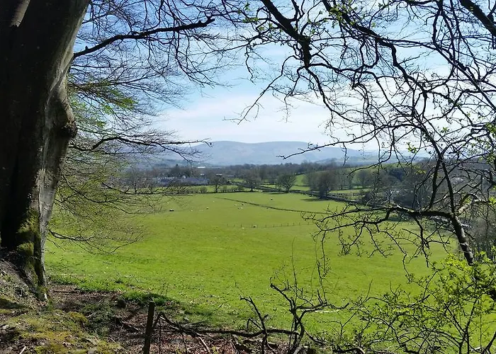 Bed & Breakfast No.5 Kilcullen