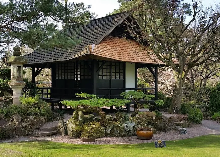 Bed & Breakfast No.5